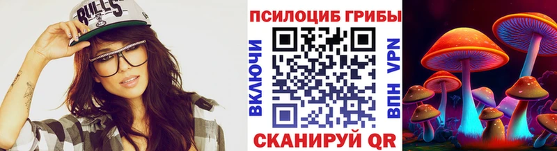 закладки  Углич  Псилоцибиновые грибы Psilocybine cubensis 